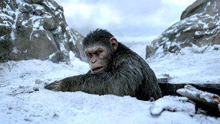 Hành tinh khỉ trở lại màn ảnh rộng vào mùa hè 2024 với Kingdom of the Planet of the Apes