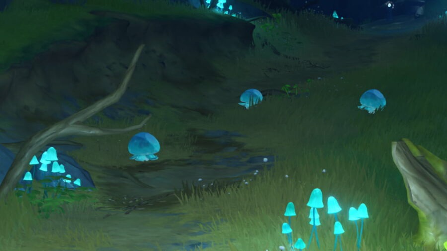 Genshin Impact: Hướng dẫn farm tận diệt Nấm Quỉ nhanh nhất trong phiên bản 3.1