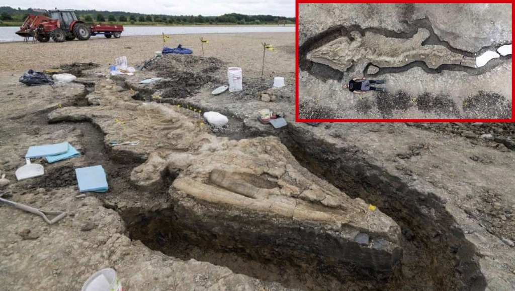 Hoá thạch "Rồng biển" khổng lồ 180 triệu năm tuổi được tìm thấy tại Vương quốc Anh