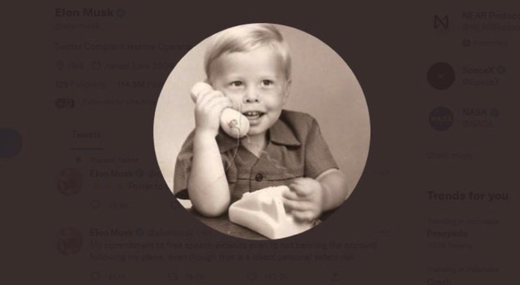 Sau khi bán tick xanh với giá 8 USD, nhiều tài khoản Elon Musk "fake" mọc lên khắp Twitter