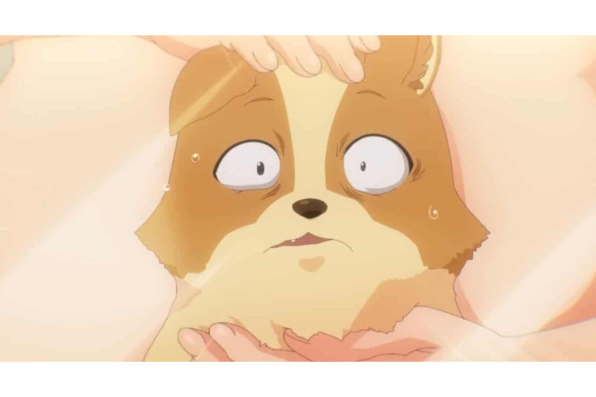 Sức khỏe, đời sống: Cuộc Sống Khi Là Chó Cưng Của Inukai-san - My Life As Inukai Review-anime-cuoc-song-khi-lam-cho-cung-cua-inukai-san-2_DYDR