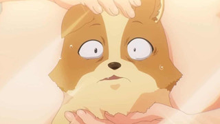 Review anime ecchi Cuộc Sống Khi Là Chó Cưng của Inukai-san: 'haiten trá hình' của năm 2023!
