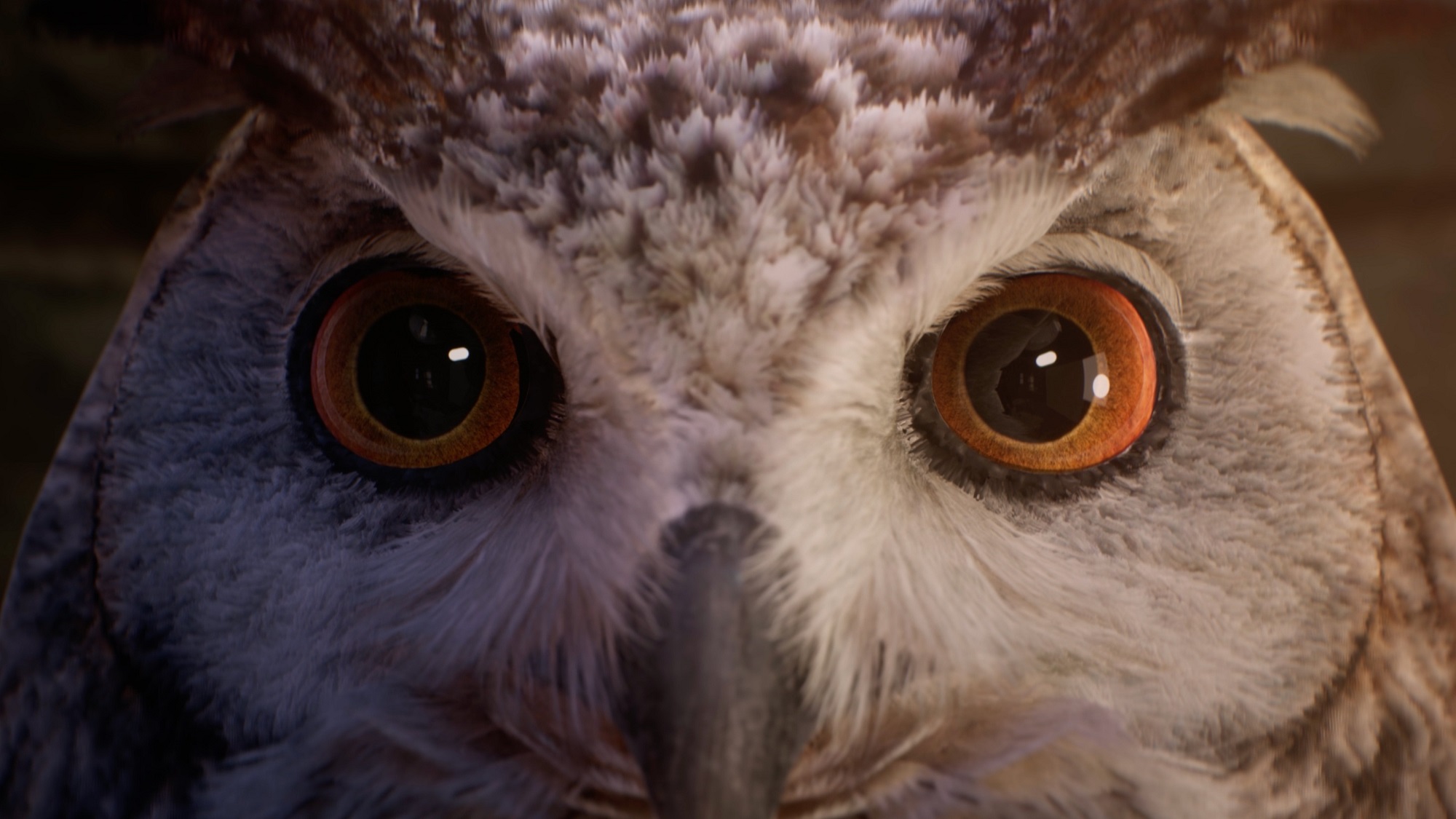 Hogwarts Legacy tung trailer hé lộ hàng loạt các chi tiết đặc trưng của vũ trụ Harry Potter