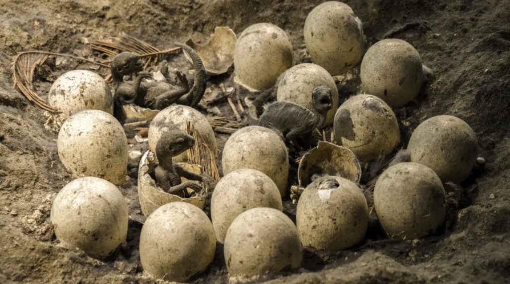 Hoá thạch trứng khủng long lớn nhất thế giới được phát hiện ở Ấn Độ