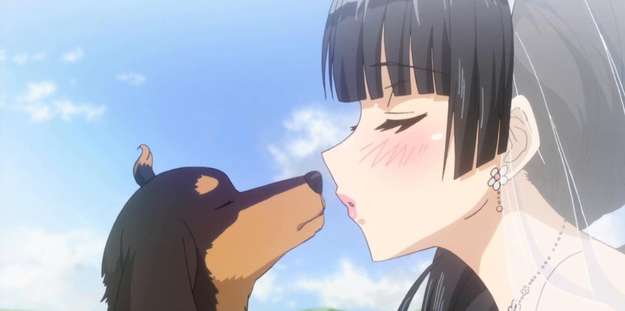  TOP 10 anime, manga có nhân vật chính là động vật (phần 1)