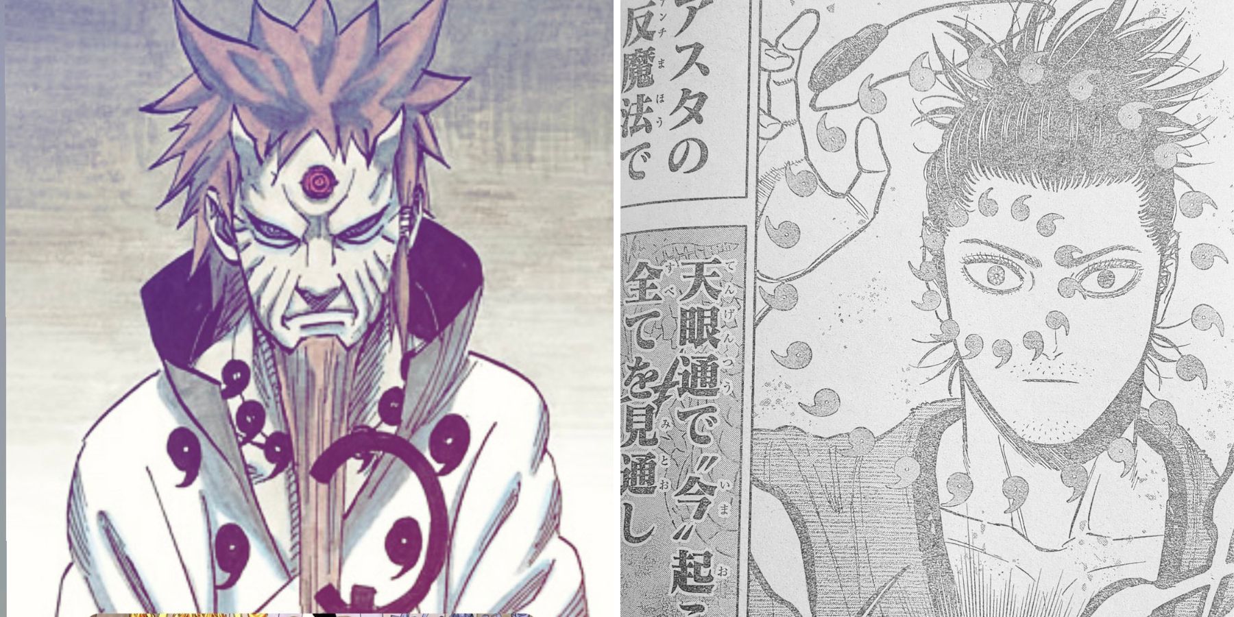 Độc giả manga tố cáo Black Clover sao chép Naruto!