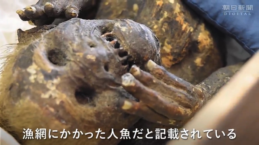 Bí ẩn về xác ướp "nàng tiên cá" 300 năm tuổi ở Nhât Bản đã được lý giải 