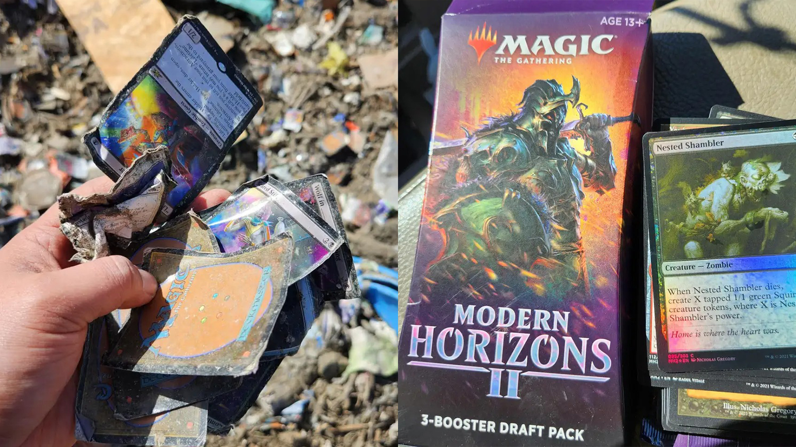 Phát hiện bộ thẻ bài giá 6 tỷ đồng ngoài bãi rác mà không biết, nam Redditor khi nhận ra thì đã quá muộn