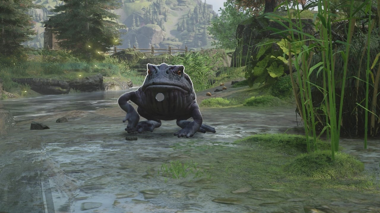 Lang thang trong Vivarium của mình, game thủ Hogwarts Legacy hóa cóc lúc nào không hay