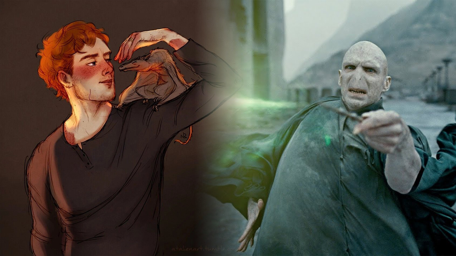 Đây là nhân vật có thể khiến cho phe Voldemort gặp khó khăn nều xuất hiện trong phim Harry Potter