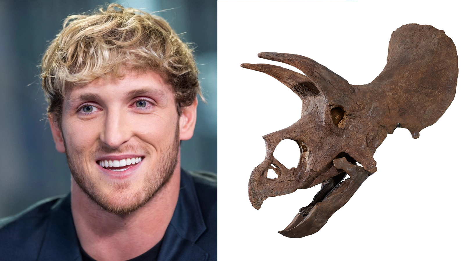 Mua hộp sọ khủng long giá 12 tỷ đồng, Youtuber Logan Paul lại gây tranh cãi kịch liệt