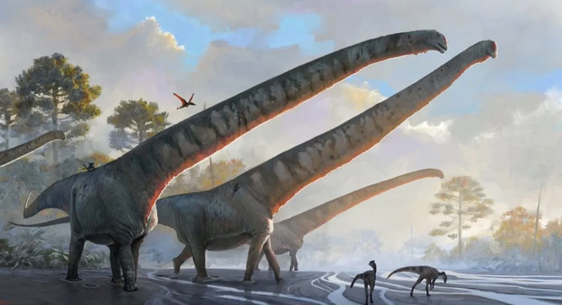 New discovery reveals the secret of long-necked dinosaurs, the neck size is bigger than a bus