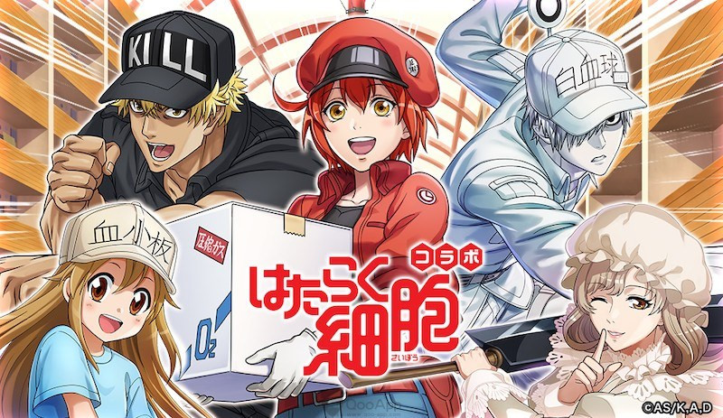 The Cells at Work anime series!  Soon there will be a Live Action movie version with a completely different plot