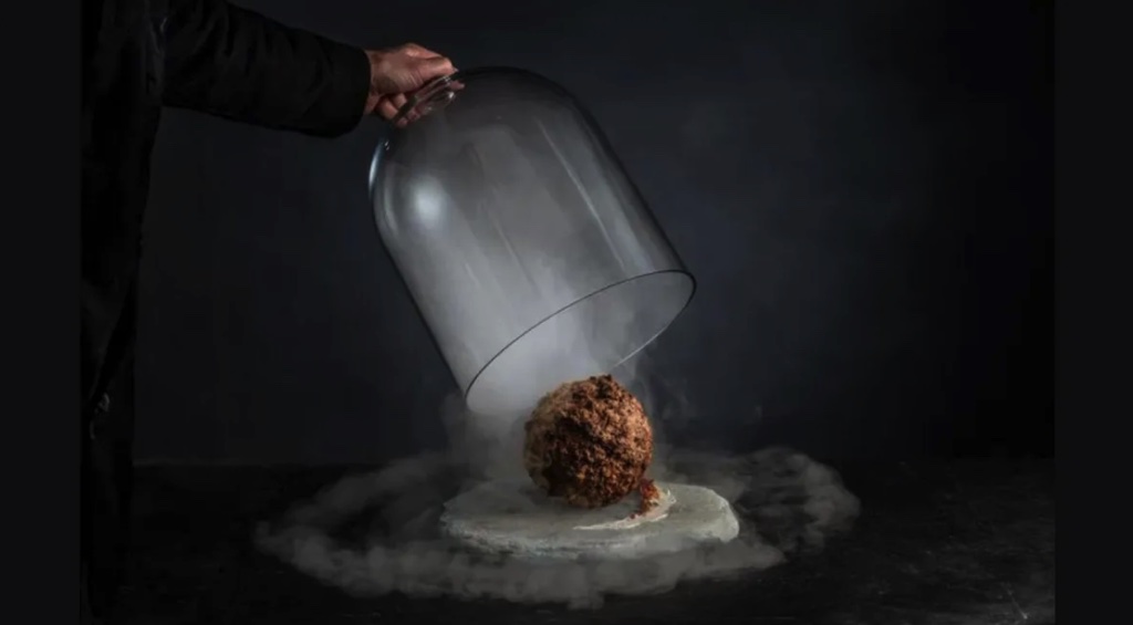 Công ty khởi nghiệp thực phẩm Úc tạo ra viên thịt từ voi ma mút đã tuyệt chủng