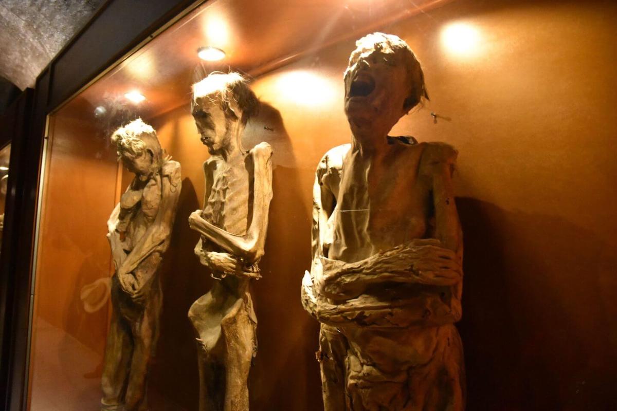 Xác ướp từ thế kỷ 19 mọc nấm đang trưng bày tại Mexico có thể lây sang người