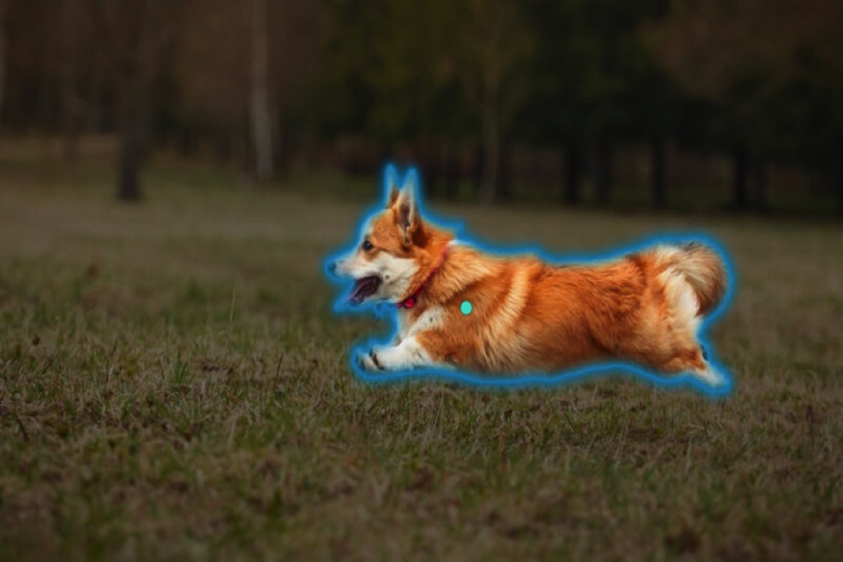 Meta trình làng mô hình AI mới có khả năng nhận diện từng đối tượng trong bức ảnh