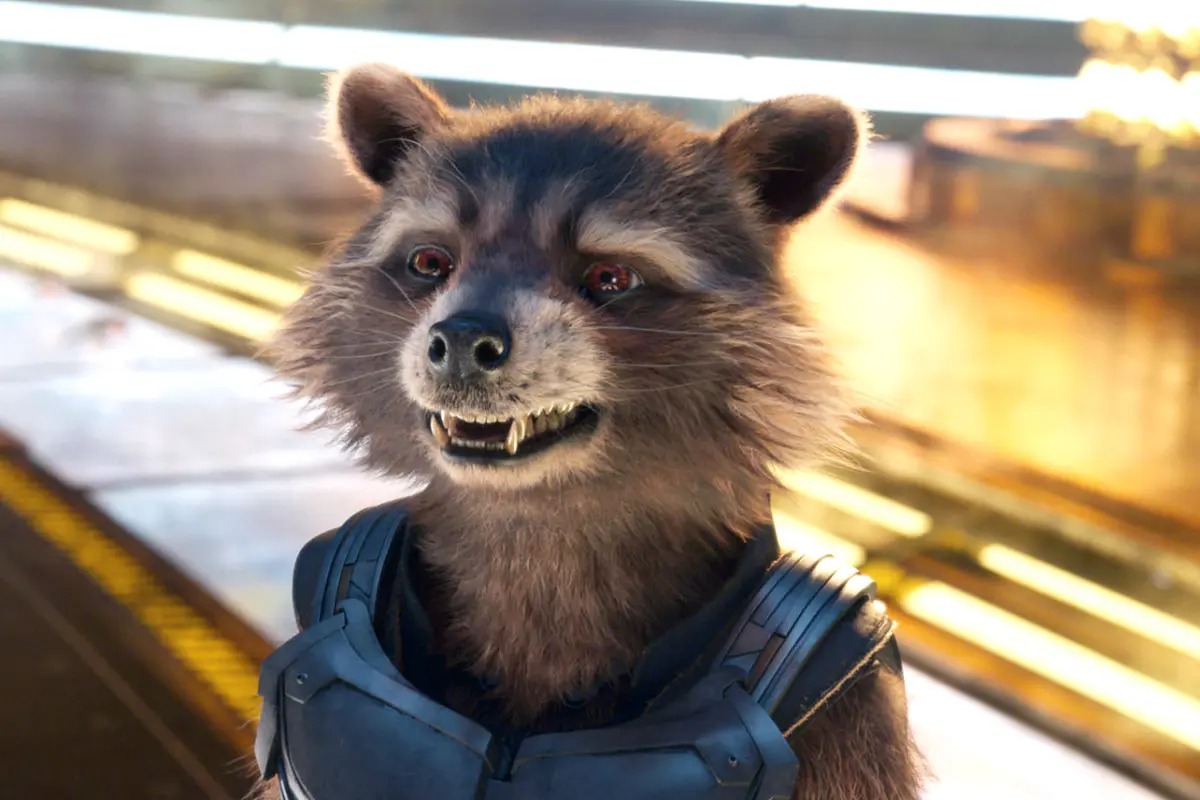 James Gunn chia sẻ những thông tin bất ngờ về Rocket trong Guardians of The Galaxy 3