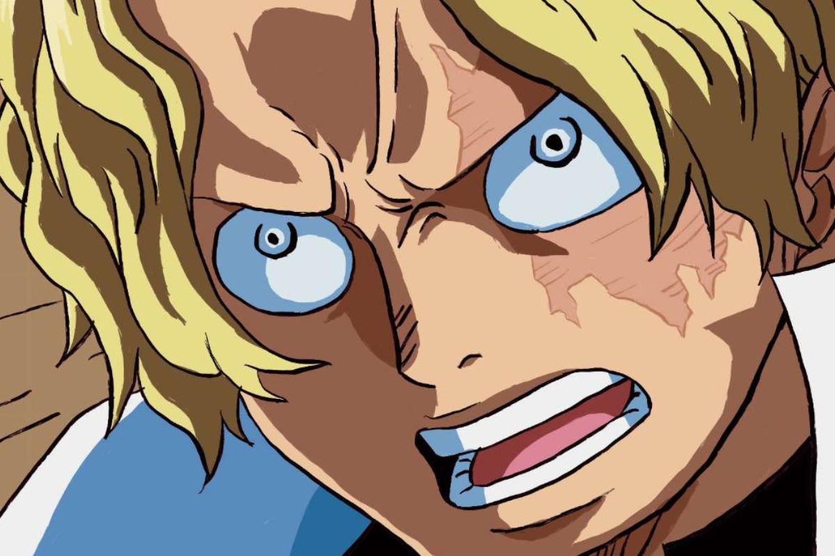 Những bí mật đầy thú vị về người anh trai Sabo của Luffy trong One Piece