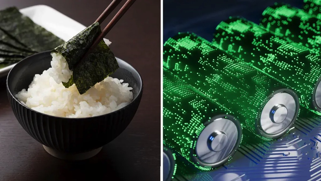 Phát minh thành công pin ăn được, mở đường cho sáng kiến lĩnh vực y tế