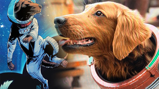 Cosmo của Guardians of the Galaxy và những điều thú vị về cô chó có siêu năng lực này