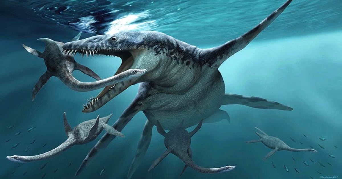 Đột phá mới trong nghiên cứu loài ngư long khổng lồ thời tiền sử 