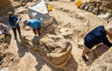 "Nghĩa địa" voi cổ đại gần 6 triệu năm tuổi được khai quật ở Florida, Mỹ