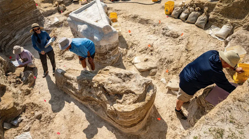 Ancient elephant “graveyard” nearly 6 million years old was unearthed in Florida, USA