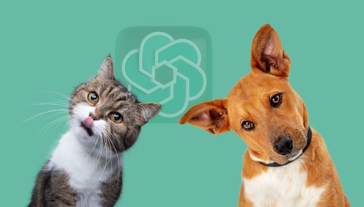 Các chatbot AI như ChatGPT chưa đạt được cấp độ thông minh của loài chó