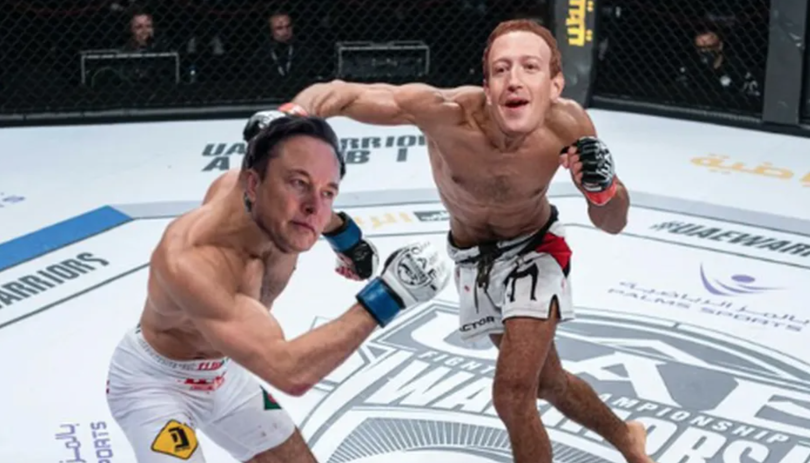 Mẹ tỷ phú Elon Musk cảnh báo con nên đấu "võ mồm" với Mark Zuckerberg