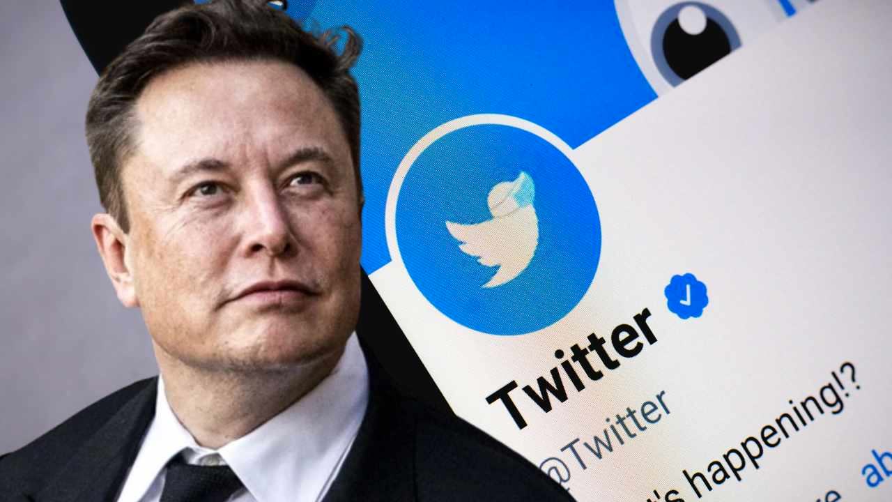 Elon Musk giới hạn số lượng tweet đọc mỗi ngày nhằm ngăn chặn thu thập dữ liệu đào tạo AI 