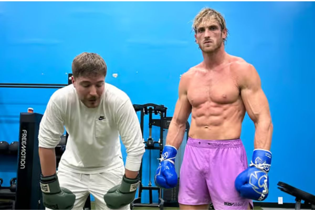Dấy lên tin đồn MrBeast có thể tham gia vào một trận đấu boxing sau khi tập luyện cùng Logan Paul