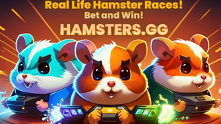 Twitch - nền tảng livestream lớn nhất thế giới đau đầu với vấn nạn cá độ... Hamster