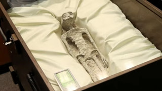 Hoá thạch 1.000 năm tuổi "người ngoài hành tinh" được trưng bày tại Mexico