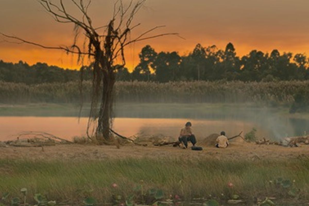 Tổng hợp các thông tin về phim Đất Rừng Phương Nam bản 2023