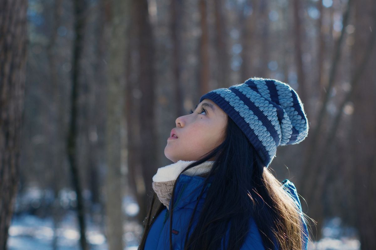 Evil Does Not Exist: Tổng hợp những thông tin mới nhất về phim