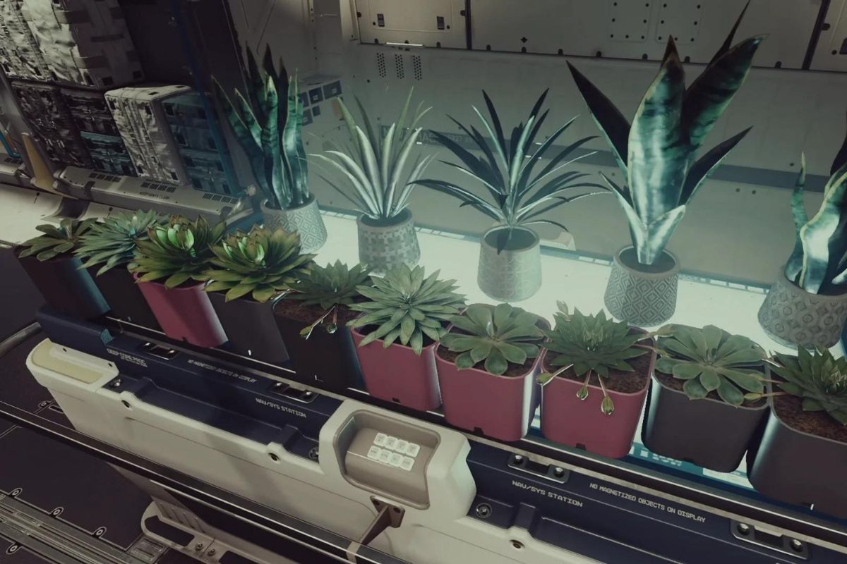 Game thủ Starfield dành hơn 180 giờ chỉ để... thu thập xương rồng