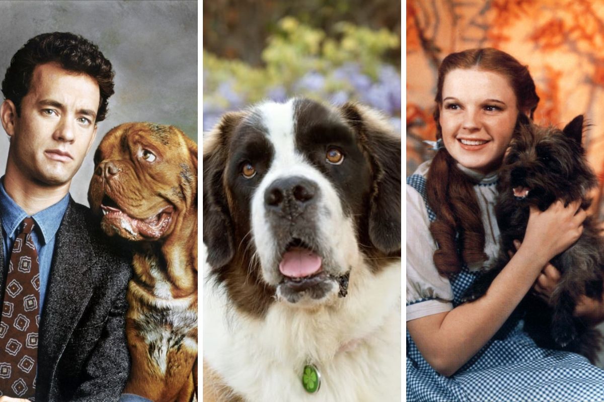  TOP những người bạn bốn chân được yêu thích nhất màn ảnh (Phần 1)