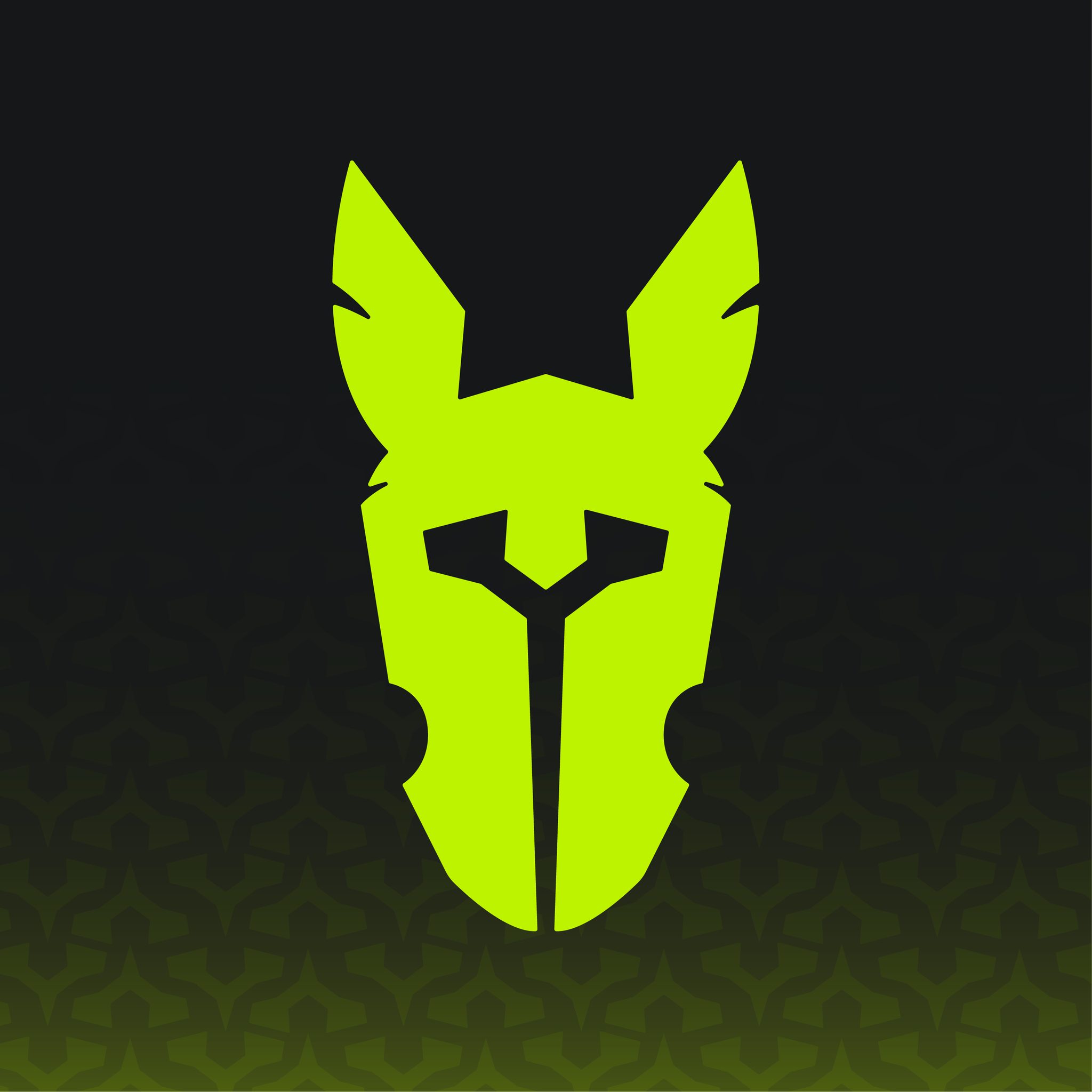 Rainbow Warriors công bố Lineup tham gia Vòng thăng hạng VCS 2024