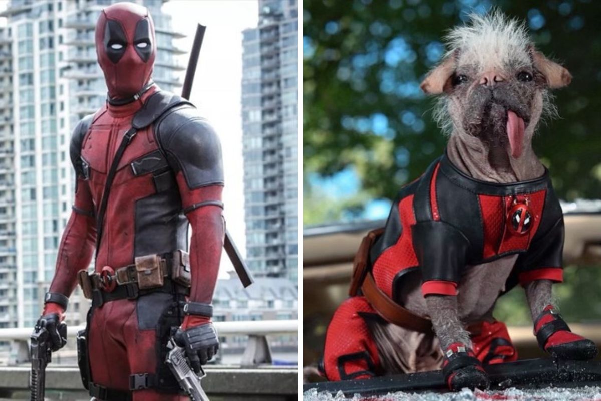Deadpool 3: Ryan Reynolds tiết lộ thông tin mới về phim 