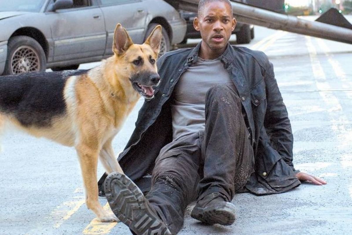  I Am Legend: Đạo diễn Francis Lawrence hối hận khi thay đổi cái kết ở I Am Legend