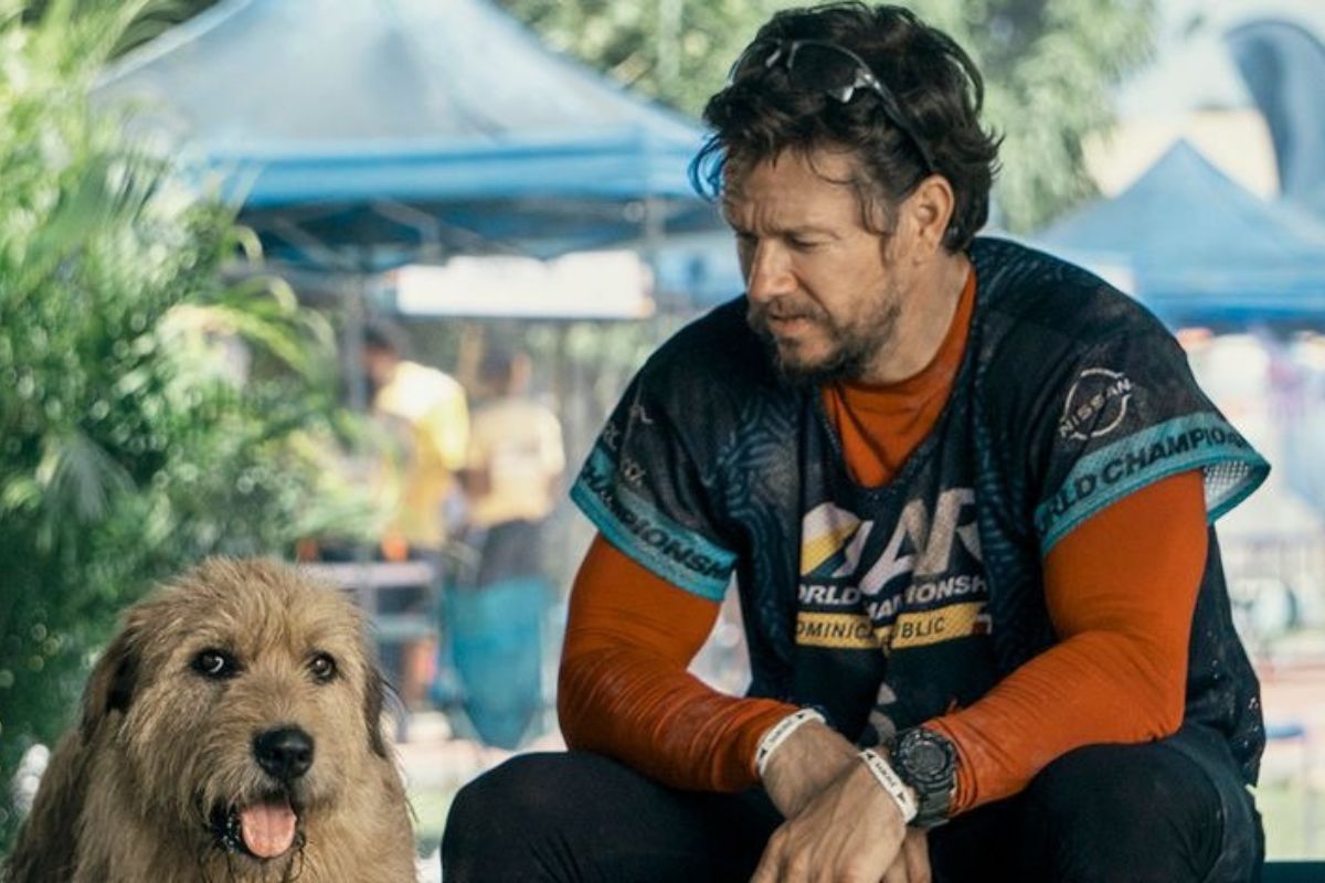 Arthur The King phim phiêu lưu tung trailer hé lộ nhiều thông tin mới