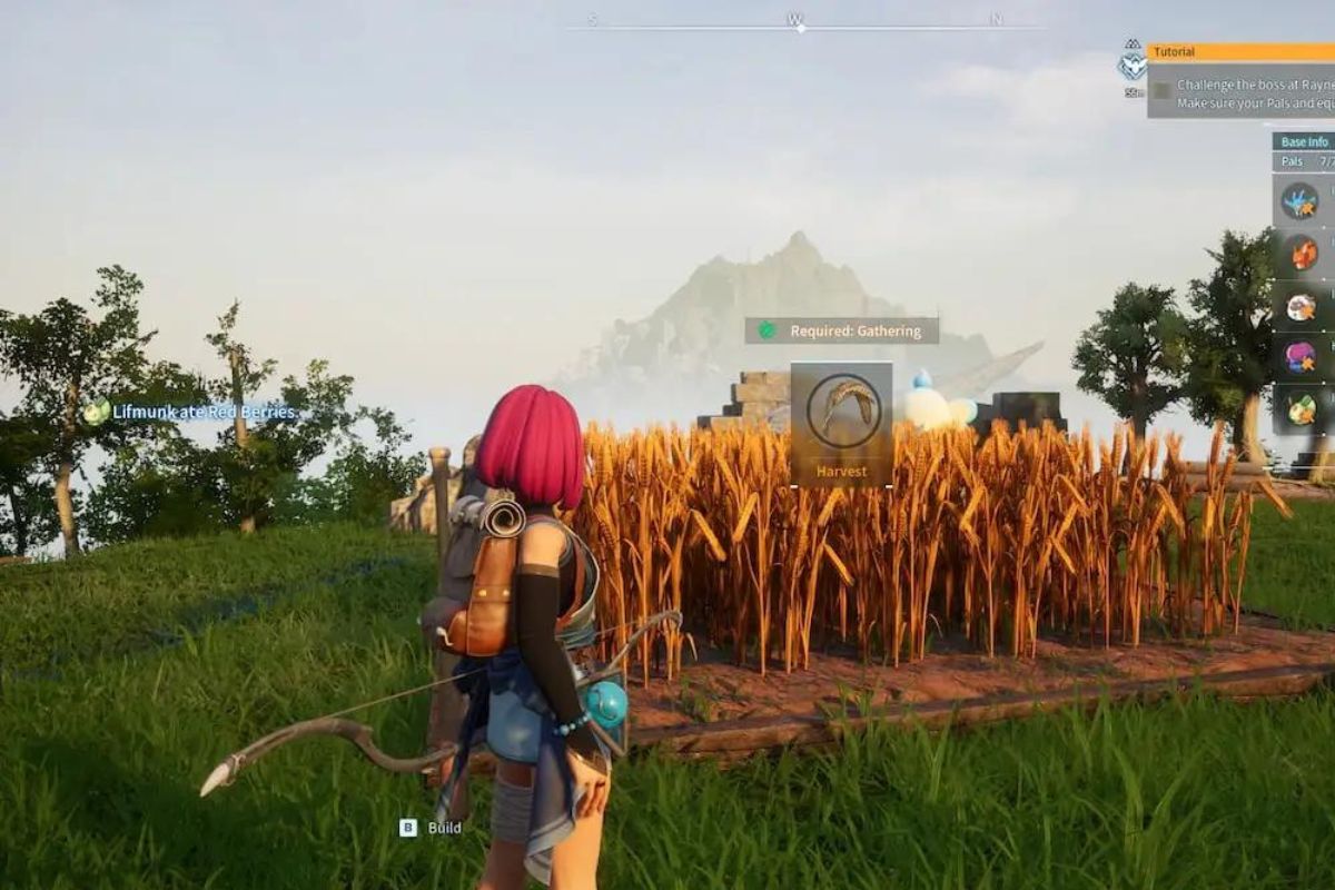 Hướng dẫn cách thu thập wheat seeds trong Palworld