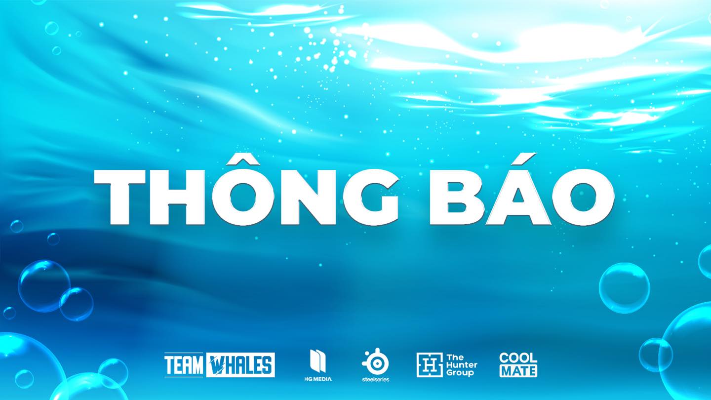 Team Whales Đưa Ra Thông Báo Chính Thức Chấm Dứt Hợp Đồng, Tuyển Thủ Lên Tiếng