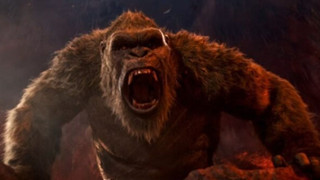 Đạo diễn của Godzilla x Kong: The New Empire Tiết Lộ Có 1 Phân Cảnh Trong Phim Được Lấy Cảm Hứng Từ Thú Cưng Của Ông