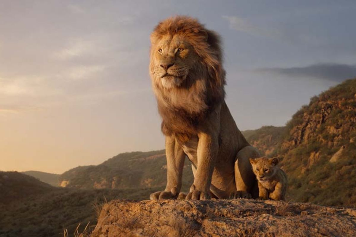 Mufasa: The Lion King Hé Lộ Mufasa Thời Trẻ Và Nhiều Bối Cảnh Khác Nhau Của Phim