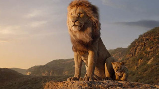Mufasa: The Lion King Hé Lộ Mufasa Thời Trẻ Và Nhiều Bối Cảnh Khác Nhau Của Phim
