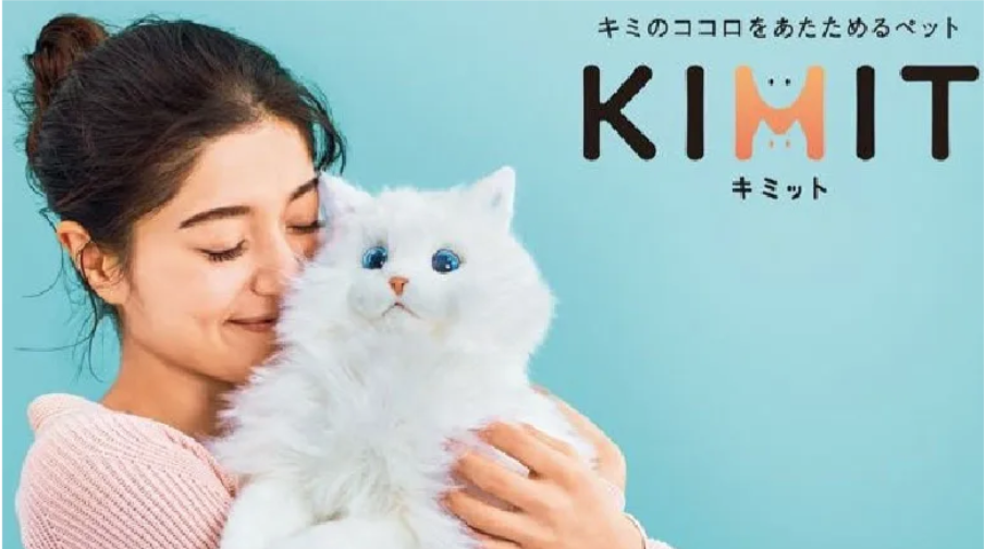 Nguy Cơ Cháy Nổ Cao, Sega Toys Buộc Thu Hồi Robot Mèo Ở Nhật Bản 