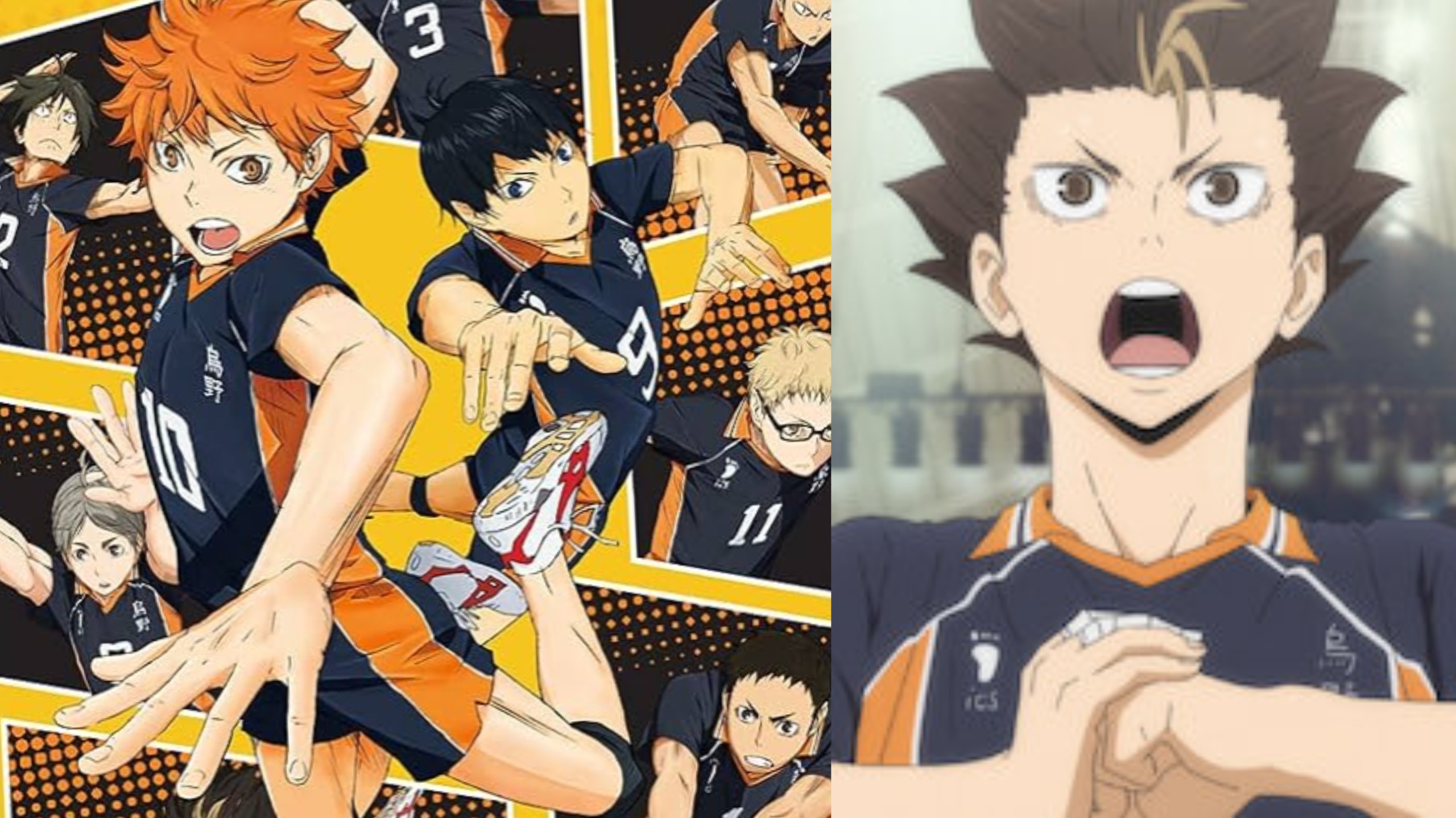 Haikyuu!!!: Tác giả từng ghét bóng chuyền vì quá phức tạp