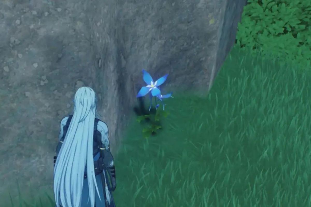 Wuthering Waves: Tổng Hợp Vị Trí Thu Thập Iris - Vật Liệu Nâng Cấp Cho Calcharo và Taoqi