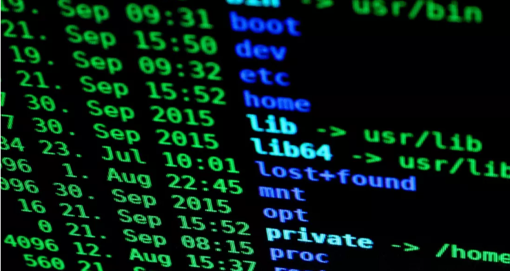 Bất Mãn Công Ty Cũ, Cựu Nhân Viên Xoá 180 Máy Chủ, Gây Thiệt Hại Hàng Chục Tỉ Đồng 